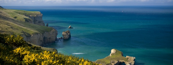 鹽水通常比淡水清澈。 